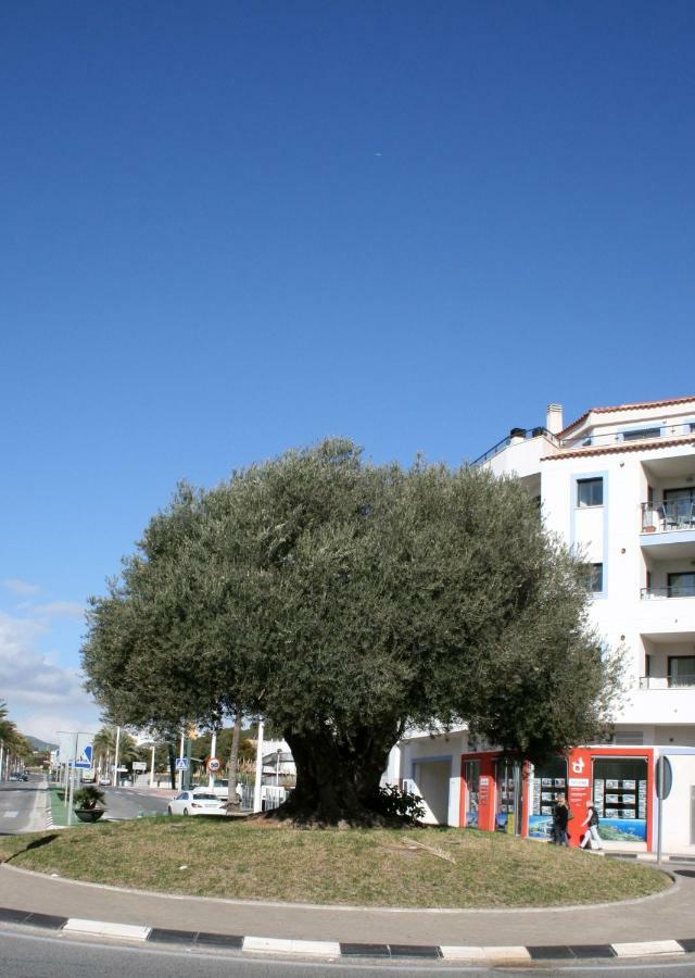 Appartement Monica Moraira Exterior foto